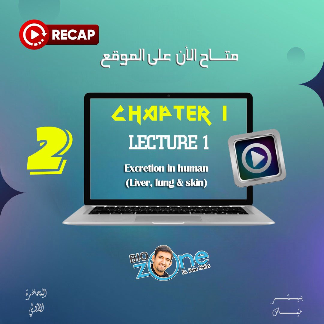2025 - 2 - الاسبوع الثاني - مراجعة المحاضرة الاولي