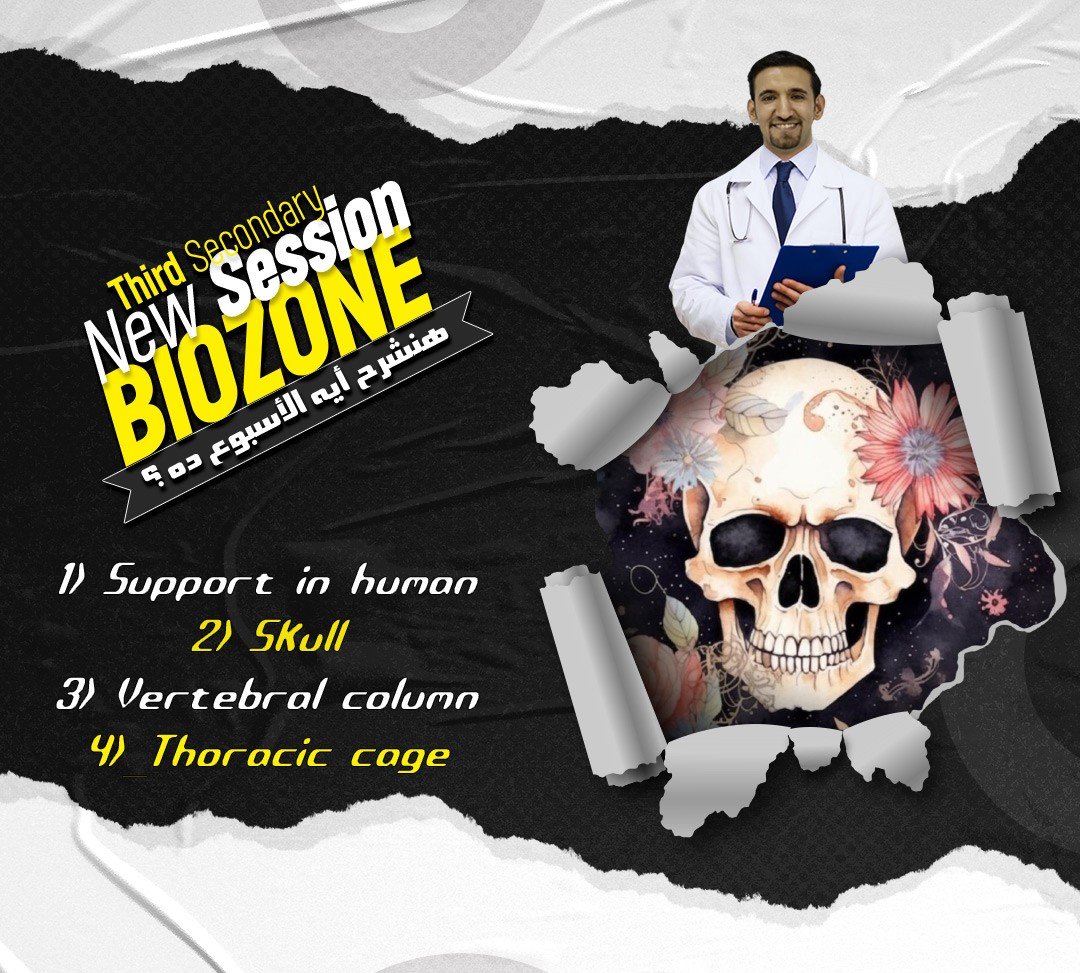 2026 - 3 - lecture (2) الشرح