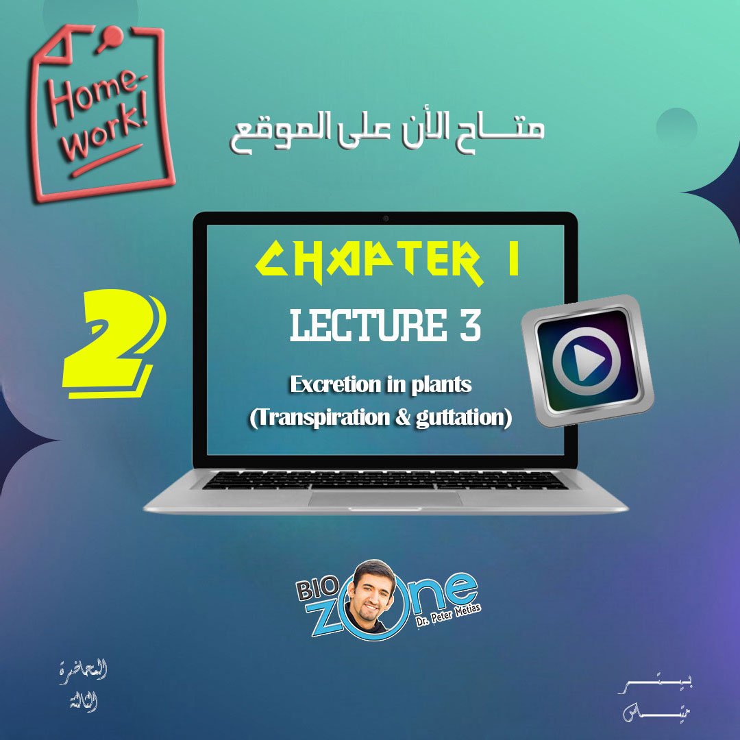2025 - 2 - الاسبوع الثالث - الواجب 1