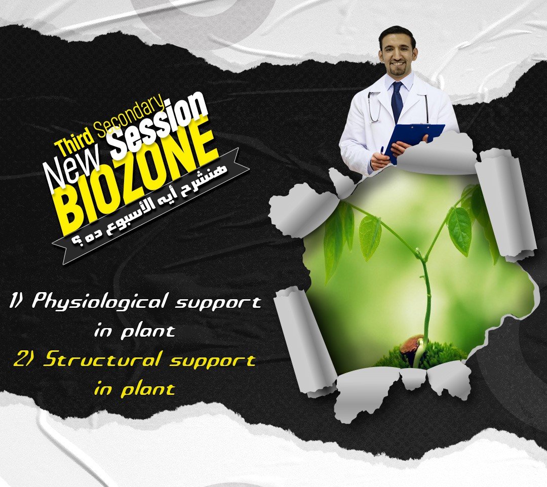 2026 - 3 - Lecture (1) - فيديو حل الواجب